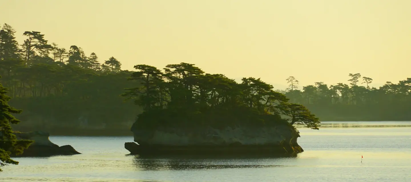 미야기 · Matsushima 실제 풍경