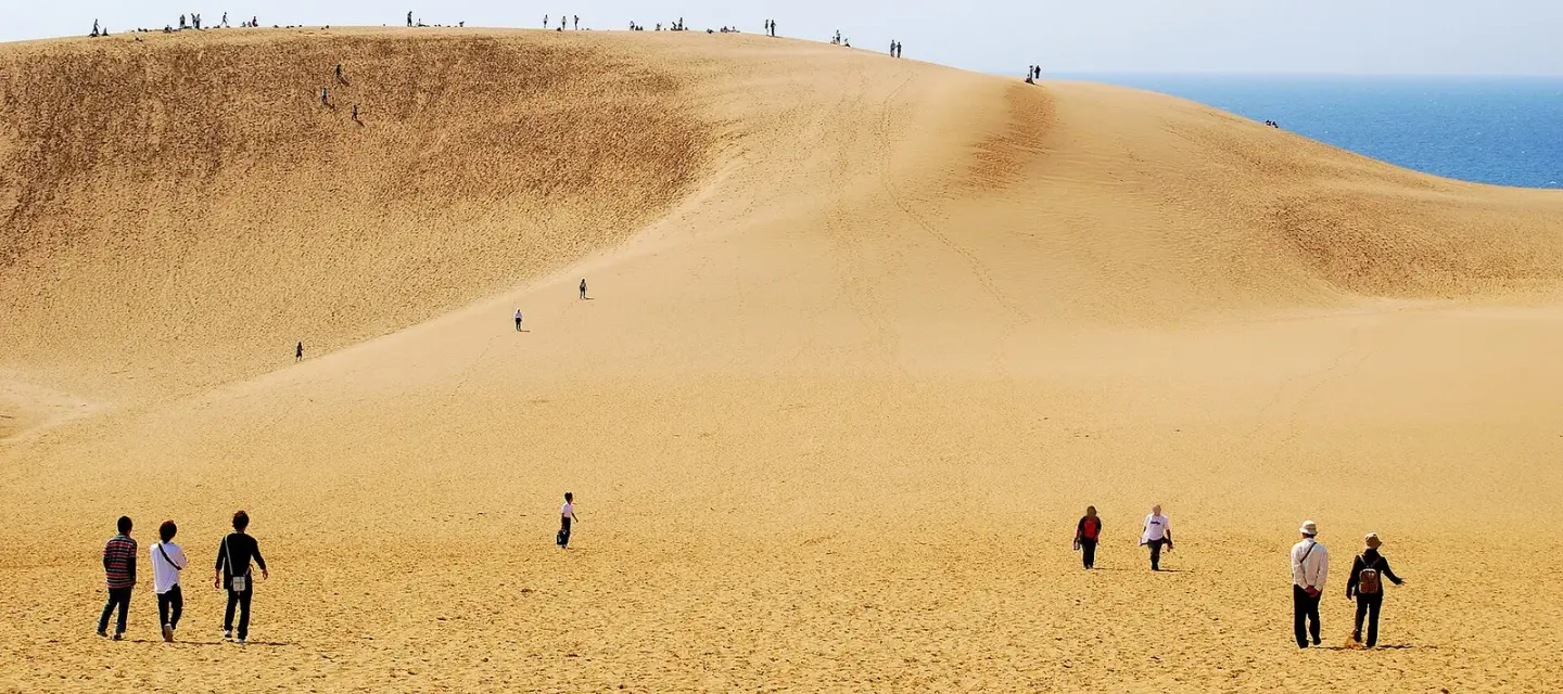 돗토리 · Tottori Sand Dunes 실제 풍경